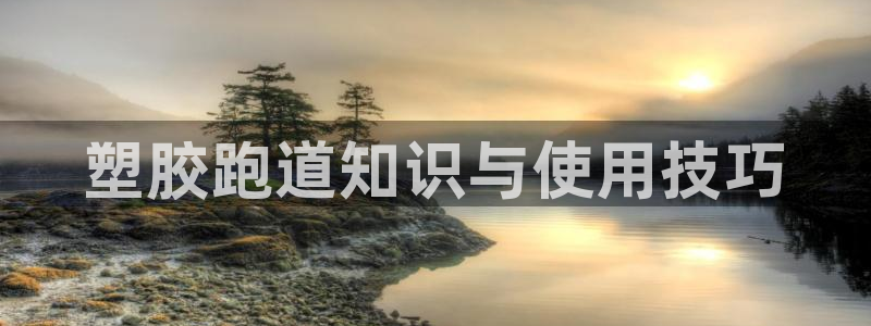 谈球吧官网在线入口手机版免费观看