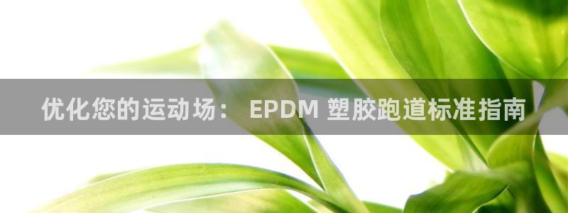 谈球吧体育app下载官网苹果版：优化您的运动场： E