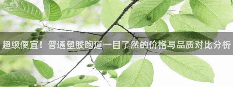 谈球吧出款怎样?：超级便宜！普通塑胶跑道一目了然的价格与品质