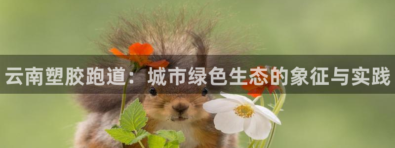 谈球吧app下载ios：云南塑胶跑道：城市绿色生态的象征与实